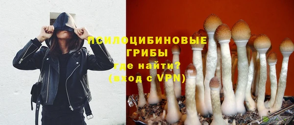прущая мука Магас