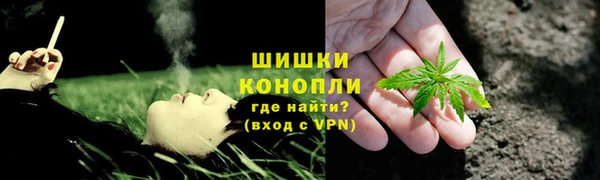 прущая мука Магас