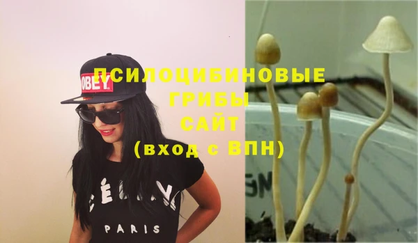 дмт Магадан