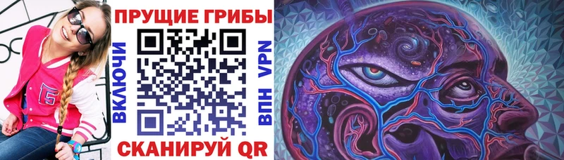 hydra tor  Невинномысск  Псилоцибиновые грибы прущие грибы 